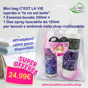 Mini bag C'EST LA VIE